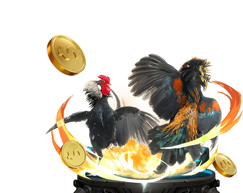 Cá cược tennis 66bet win